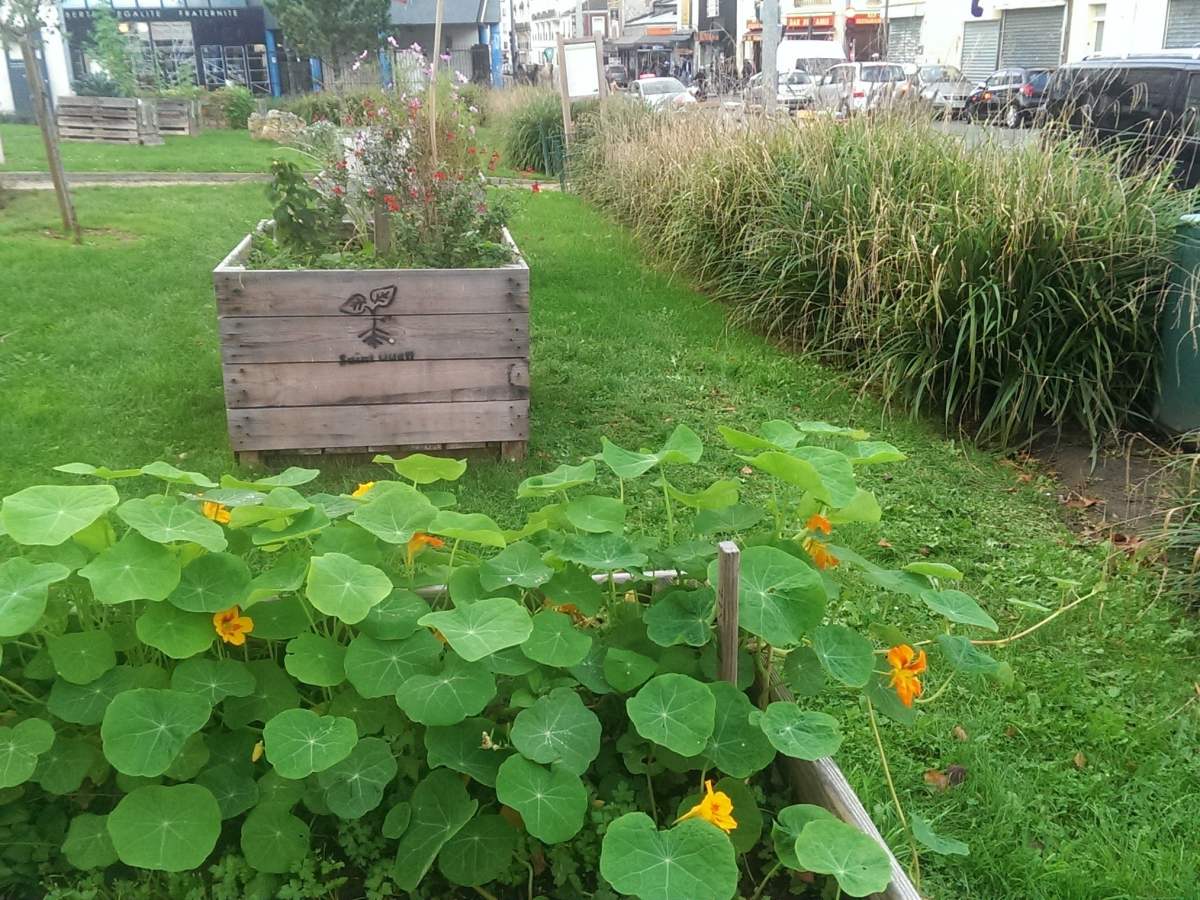 Incroyables Comestibles