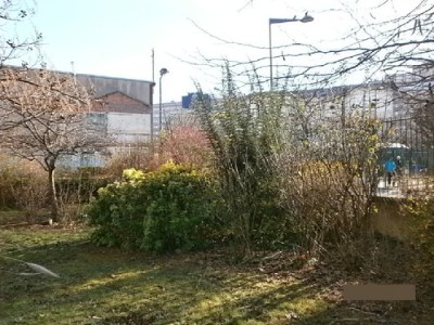 Jardins dans les&nbsp;écoles